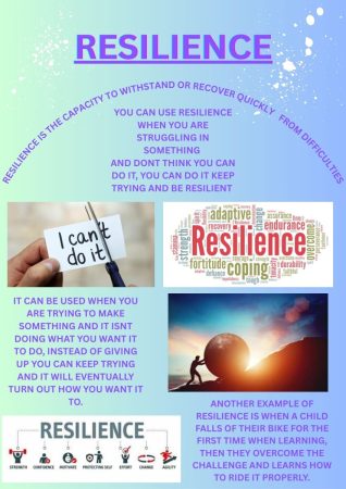 Resilience