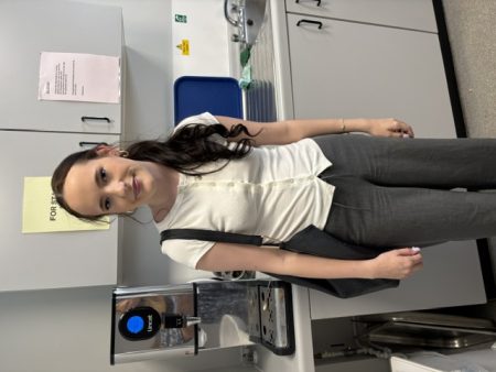 Work Experience 2026